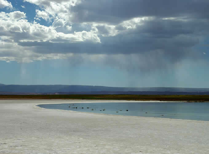 Laguna Cejar