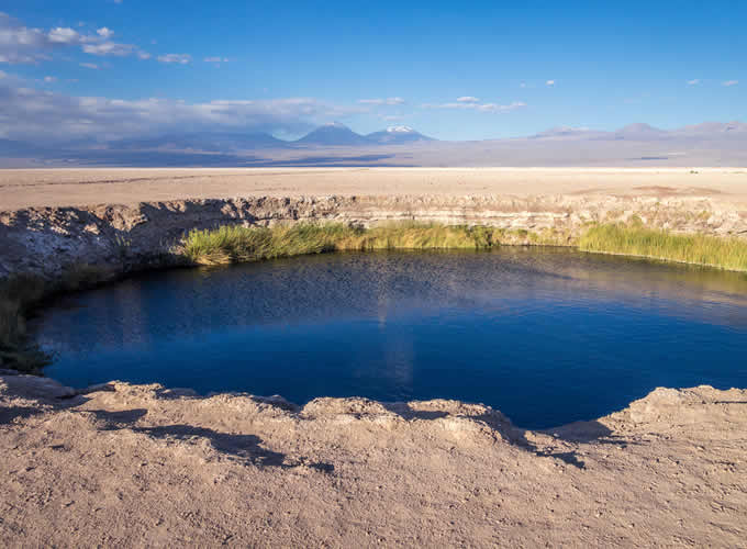 Ojos del salar