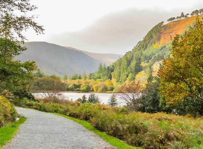 Wicklow Mountains National Park